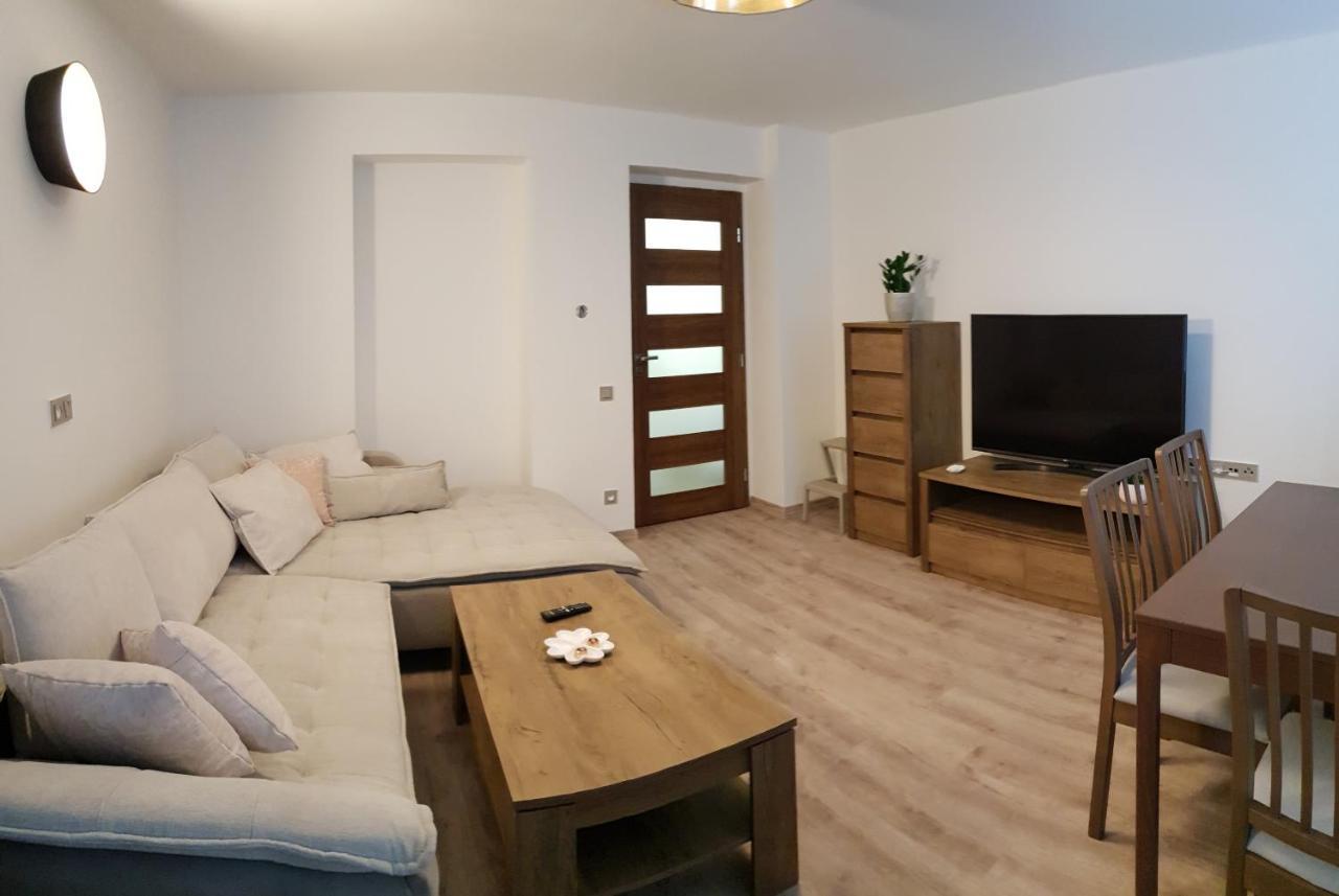 Appartamento Apartmán U Labe Nymburk Esterno foto